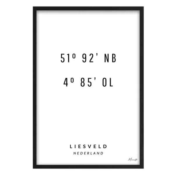 Coordinaten Liesveld